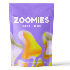 Golden Teacher | Shrooms Toronto Canada