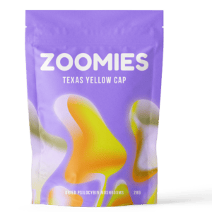 Texas Yellow Cap | Shrooms Toronto Canada