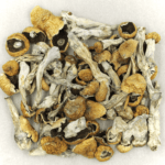Orissa | Shrooms Toronto Canada