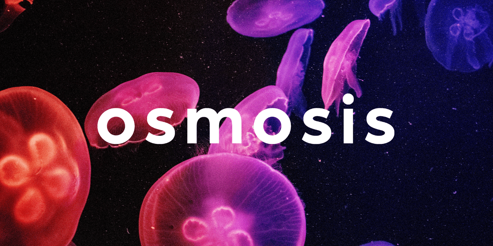 Zoomies osmosis banner | Shrooms Toronto Canada