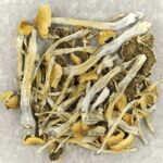 Trinity | Shrooms Toronto Canada