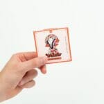 Wonder – Psilocybin Chocolate Bar – Blood Orange | Shrooms Toronto Canada