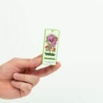 Wonder – Psilocybin Chocolate Bar – Dark Chocolate | Shrooms Toronto Canada