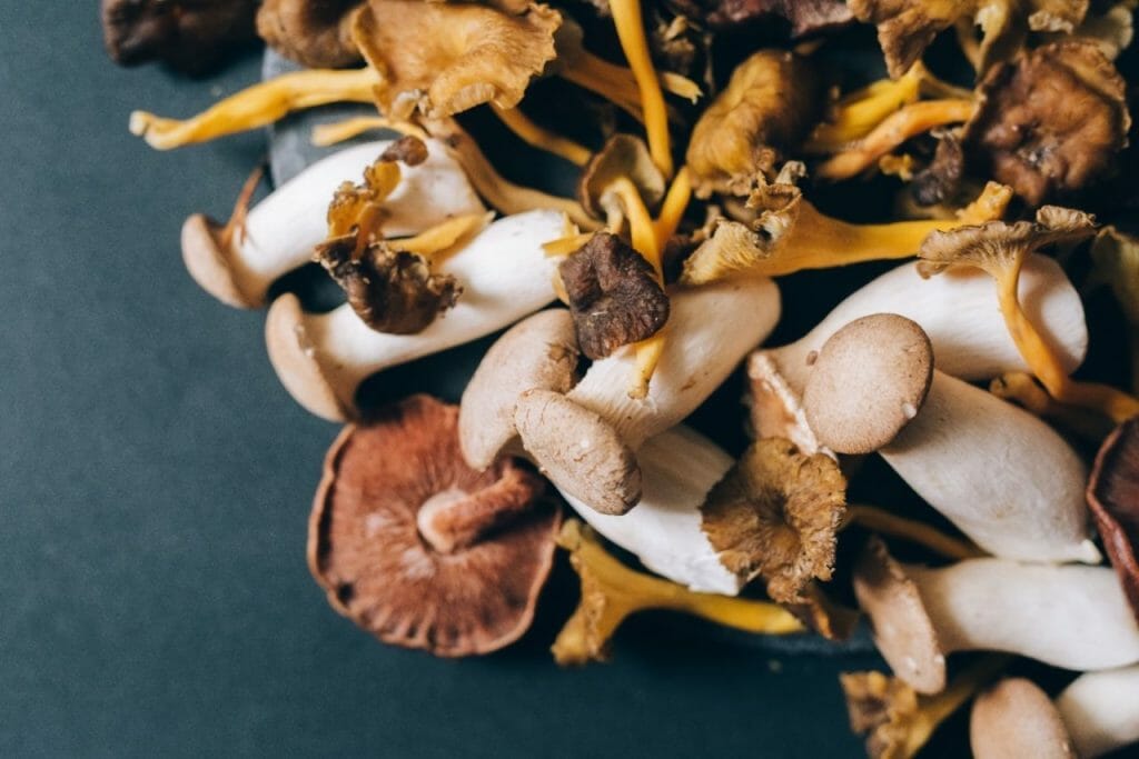 How Mushrooms Can Benefit Your Health? Health benefits of mushrooms