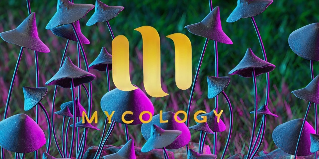 Zoomies Summer 2023 Banner - Mycology | Shrooms Toronto Canada