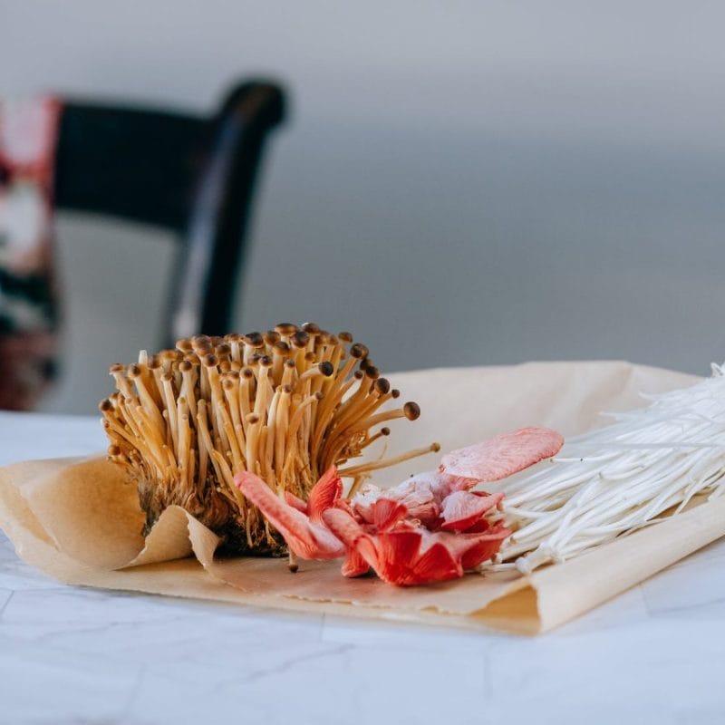 Buy Shrooms Online Canada (1) | Shrooms Toronto Canada
