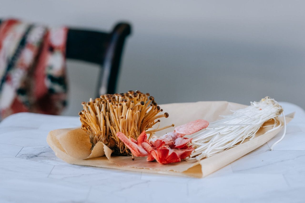 Purchase Mushrooms Online in Canada for Festive Christmas Recipes
