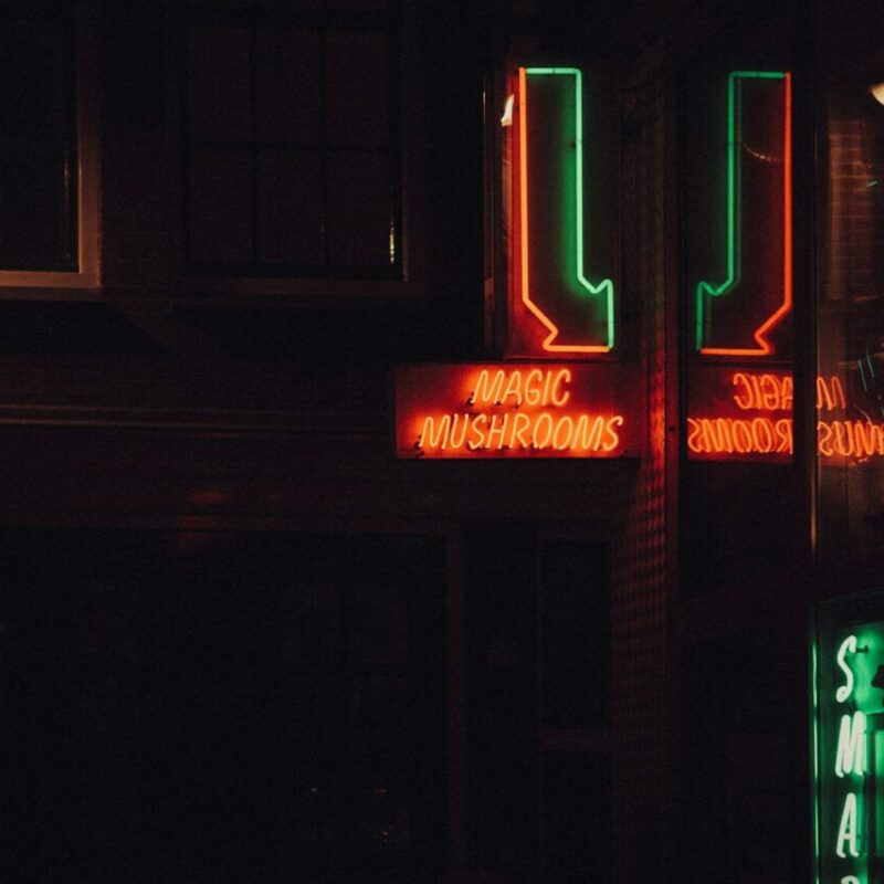Mushroom Dispensary Vancouver | Shrooms Toronto Canada